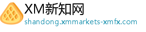 XM新知网